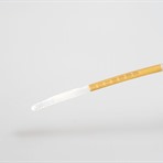 Disposable Urethral Catheter Electrode